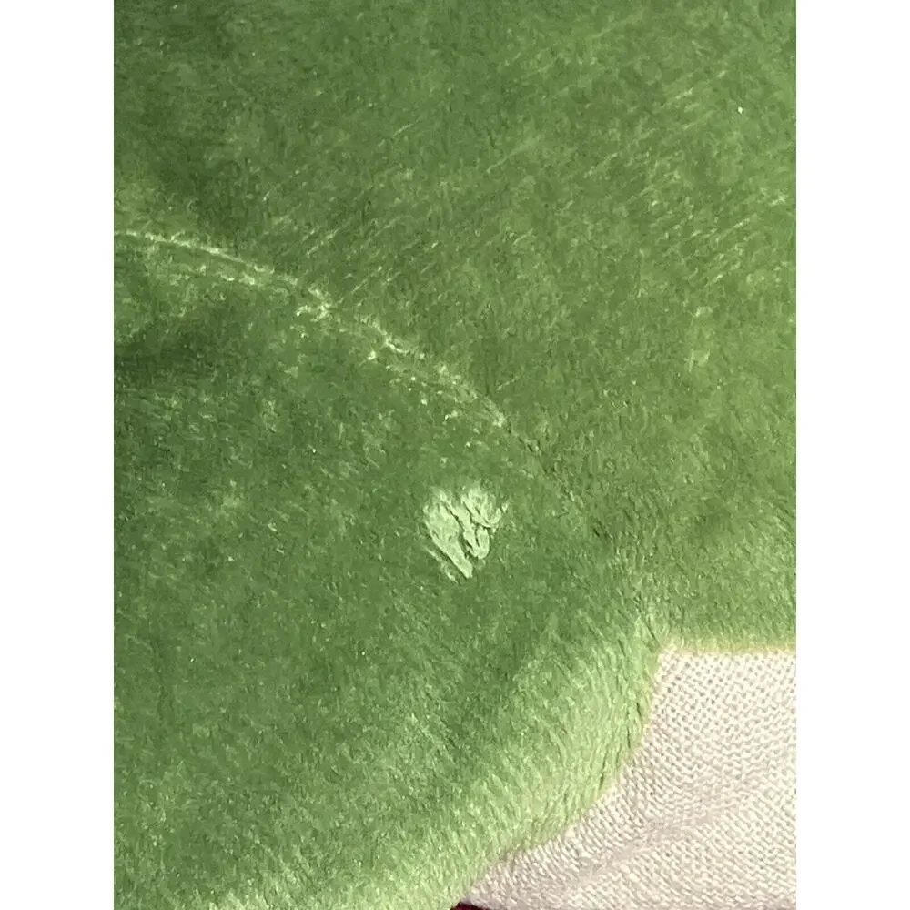 Kiwi Co DISSECTING FROG‎ 16